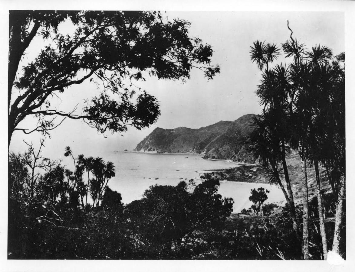 Waipiro Bay Paradise Te Puia Exterior foto